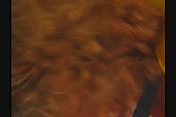 'Pussyman 13 - Lips' screenshot nº 90