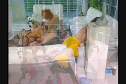 'Pussyman 13 - Lips' screenshot nº 94