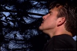 'Flesh For Fantasy (Metro)' screenshot nº 115