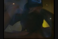 'Nasty Nymphos' screenshot nº 2
