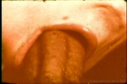 Captura de 'Super Sexy 70's' nº 17