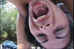 Captura de 'Spanish Fly Pussy Search 3' nº 30