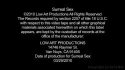 'Surreal Sex' screenshot nº 83