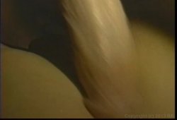 Captura de 'Nektar' nº 104