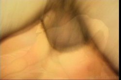 'Legman's Lassies 17' screenshot nº 54