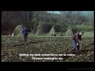 Lonely Cow Weeps at Dawn, A - Scena1 - 4
