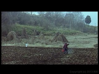 Lonely Cow Weeps at Dawn, A - Scena2 - 4
