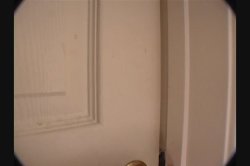 'We Swallow 6' screenshot nº 43