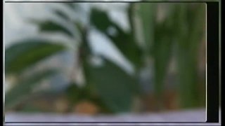 Dolls Dolls Dolls - Scene2 - 1