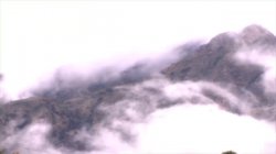 'Riding The Flying Pink Pig' screenshot nº 37