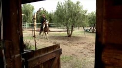 'Riding The Flying Pink Pig' screenshot nº 61