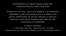 'Riding The Flying Pink Pig' screenshot nº 1