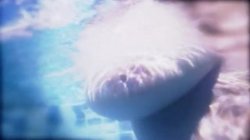 'Busty Brits Abroad' screenshot nº 31