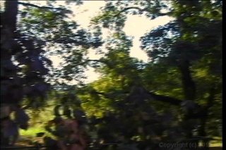 Brazilian Chicks With Dicks - Scène4 - 1