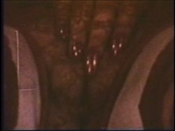'Tit Queens of the Past Vol. 9' screenshot nº 93