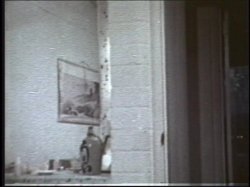 'Tit Queens of the Past Vol. 9' screenshot nº 35