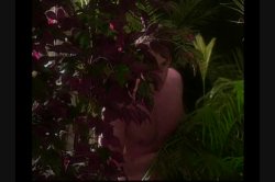 Captura de 'Signature Series Vol. 6: Nina Hartley' nº 49