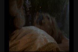 Captura de 'Signature Series Vol. 6: Nina Hartley' nº 5