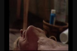 Captura de 'Signature Series Vol. 6: Nina Hartley' nº 96
