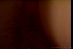 'Casting Call 3' screenshot nº 57