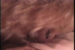 Captura de 'Jackie Browneye' nº 13