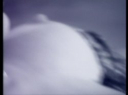 'Private XXX Vol. 11' screenshot nº 44
