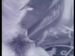 'Private XXX Vol. 11' screenshot nº 52