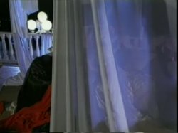 Captura de 'Real Christy Canyon, The' nº 128
