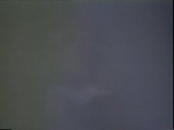 Captura de 'Real Christy Canyon, The' nº 132