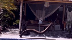 'Hot Sexy Spanish Lovers' screenshot nº 50