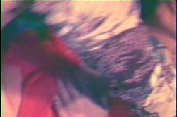 Captura de 'Ultimate 70's Collection, The' nº 132