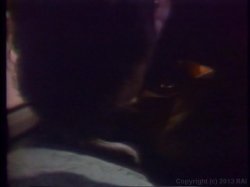 Captura de 'Veronica Hart's Throbs' nº 58