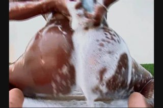 Big Phat Black Wet Butts 10 - Scene2 - 2