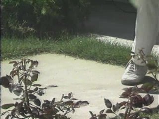 Sex Asylum 2 - Sheer Bedlam - Scene2 - 1
