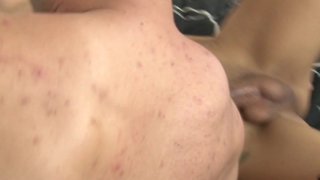 Hardcore Transsexuals Vol. 1 - Cena5 - 3