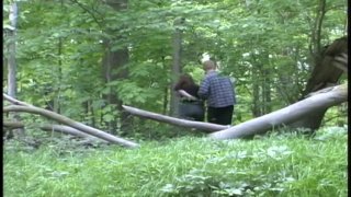 Urban Woodland - Cena3 - 1