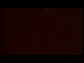 42nd Street Pete&#39;s 8mm Madness Volume Six - Beyond The Busty Stags (Disc 1) - Escena4 - 1