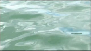 Erotica Orgy - Scène2 - 1
