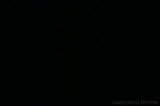 Black Pussy Hunt Vol.1 - Escena8 - 1