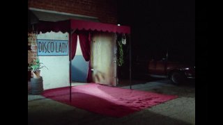 Disco Lady - Escena2 - 1