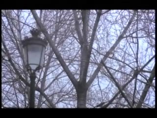 Sexual Vibrations (French Language) - Scène1 - 1
