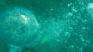 Wet Sex (Television X) - Scene1 - 1