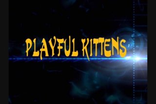 Playful Kittens - Escena1 - 1