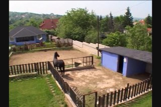 Big Natural Tits 12 - Escena3 - 1