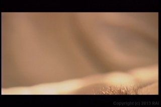 Cock Stops Here, The - Scene14 - 3
