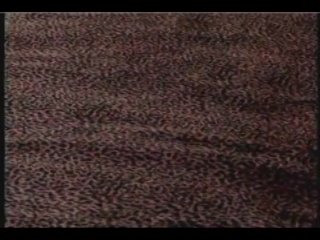 White Boys With Big Dicks - Scene10 - 6