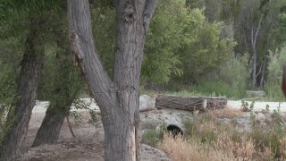 Rawhide II: Dirty Deeds - Special Edition - Scena11 - 5