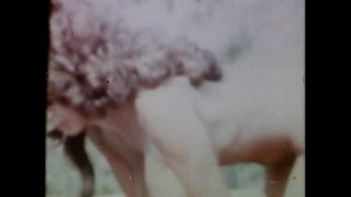 Voluptuous Naturals - Cena3 - 6