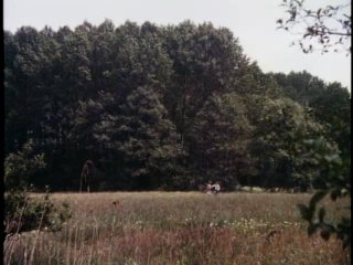 Butterflies - Szene1 - 1