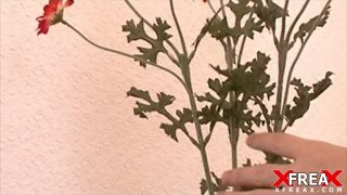 Euro Lesbo Girls #2 - Escena2 - 1